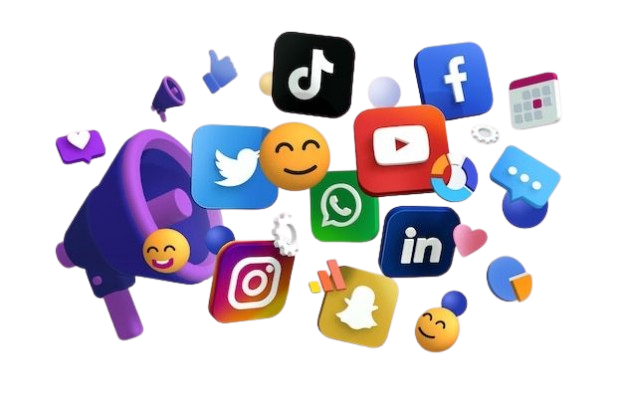 seo services