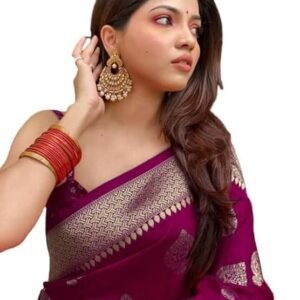 Banarasi Sari